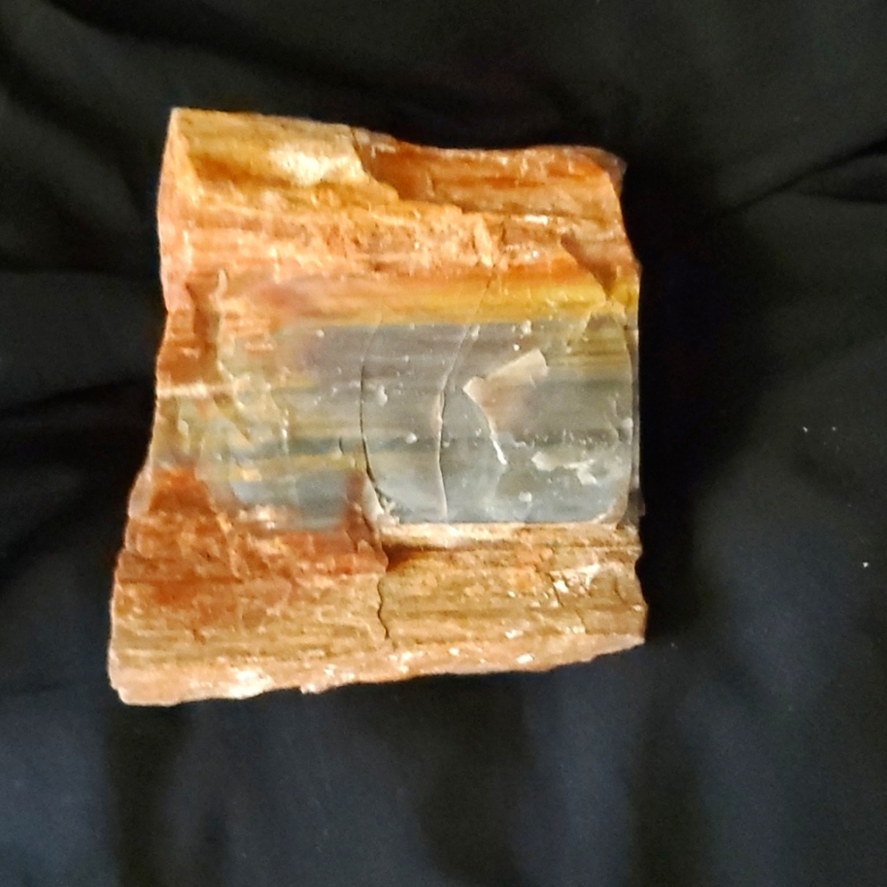 Petrified wood